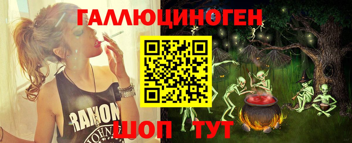 Галлюциногенные грибы Psilocybine cubensis Таганрог