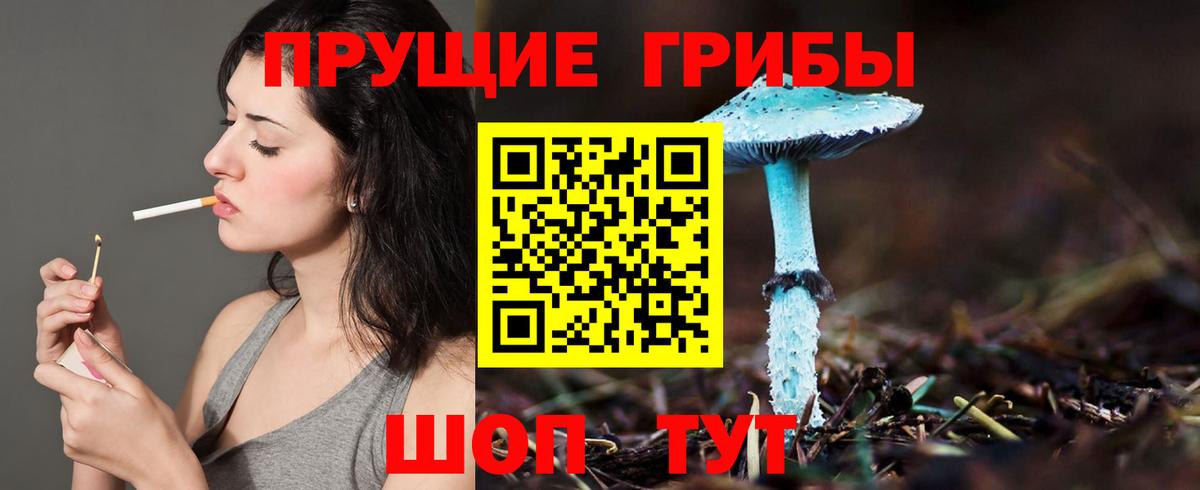 Таганрог  Галлюциногенные грибы MAGIC MUSHROOMS  Вход с VPN 